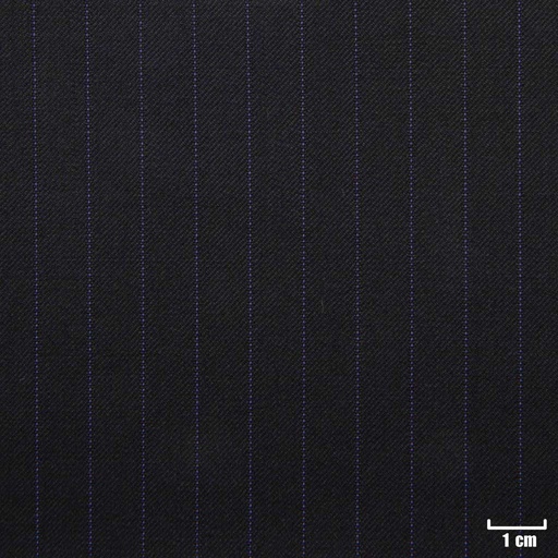 [500209] BLACK, PURPLE STRIPES