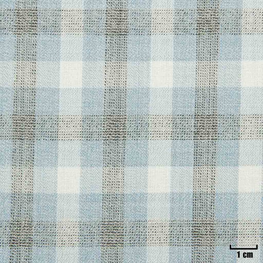 [501614] BLUE/WHITE, BROWN CHECKS