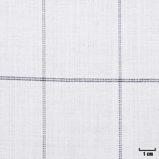 [501613] WHITE, CHECKS