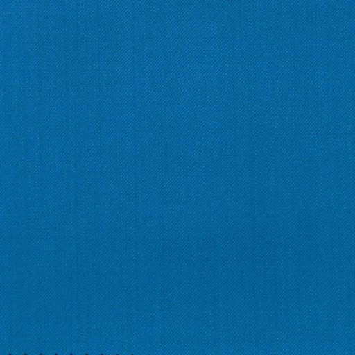 [223709] BLUE, PLAIN