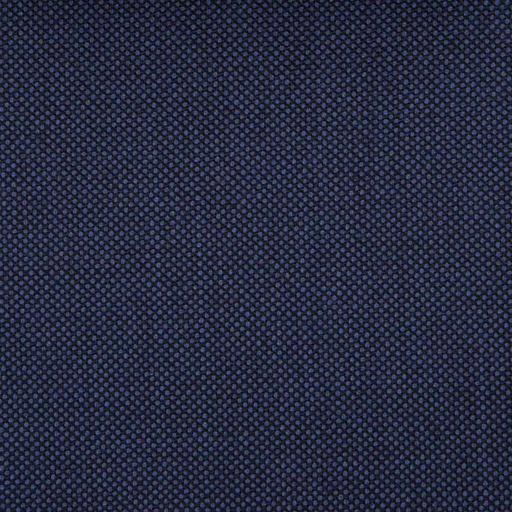 [226194] BLUE, BIRDEYE