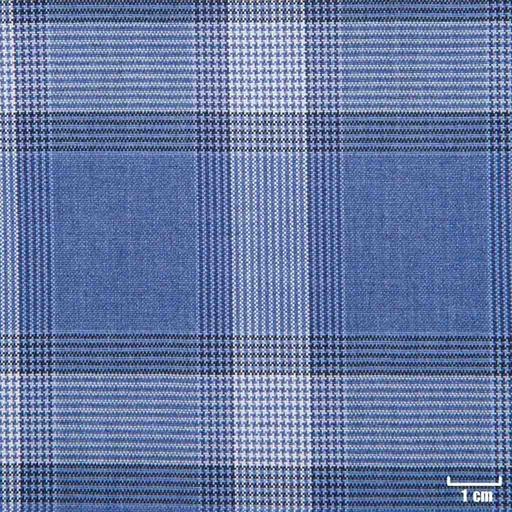 [225801] BLUE, WHITE CHECKS