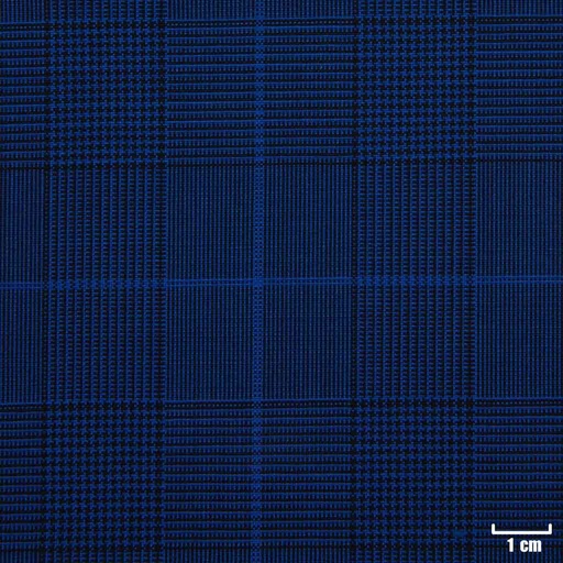 [223504] BLUE, CHECKS