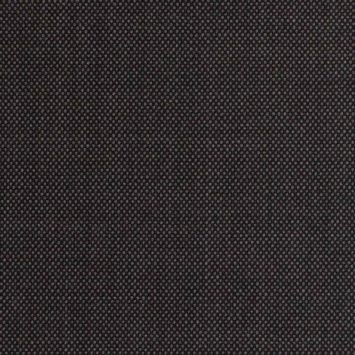 [226353] BROWN, BIRDEYE