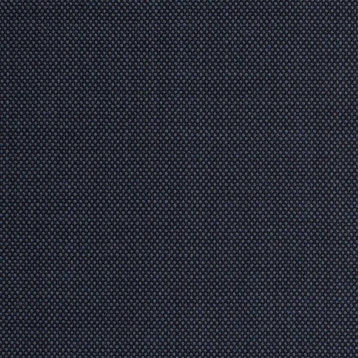 [226351] BLUE, BIRDEYE