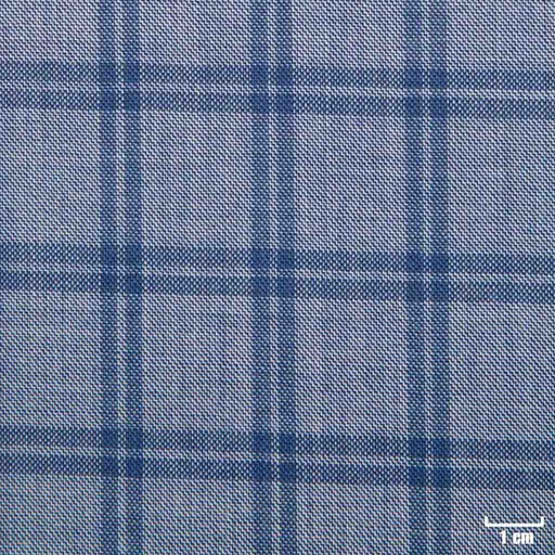 [271304] BLUE, CHECKS