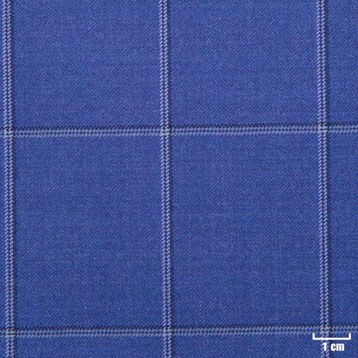 [226124] BLUE, BLUE/WHITE CHECKS