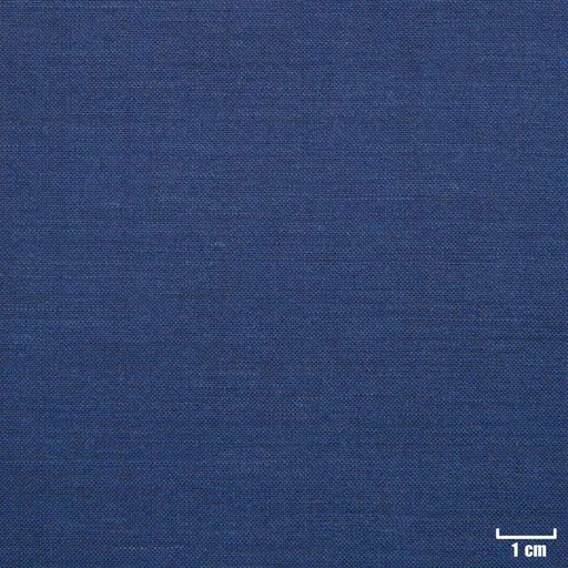 [501741] BLUE, PLAIN
