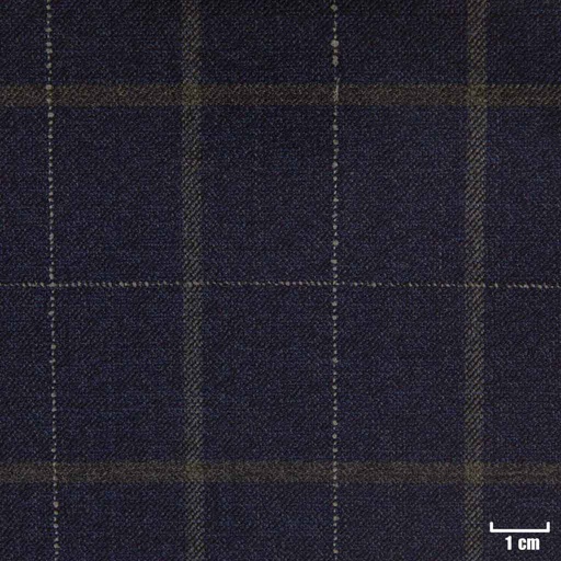 [822009] BLUE, CHECKS