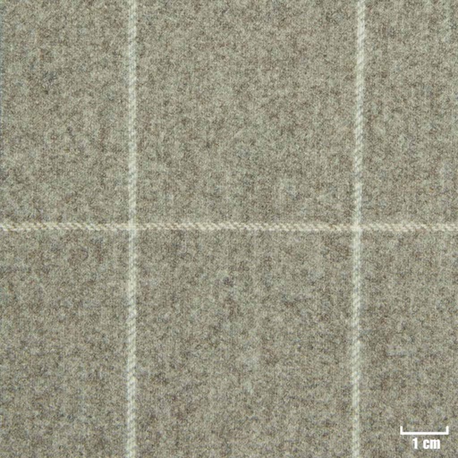 [227261] TAN, OFF WHITE CHECKS