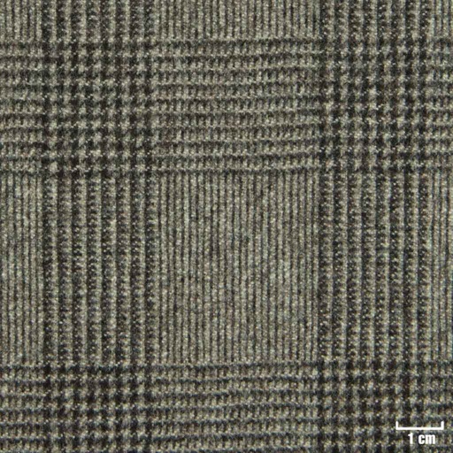 [822434] TAN, CHECKS