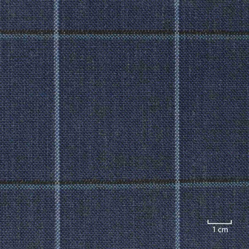 [822317] BLUE, CHECKS