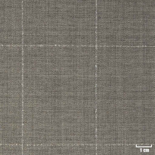 [823507] TAN, CHECKS