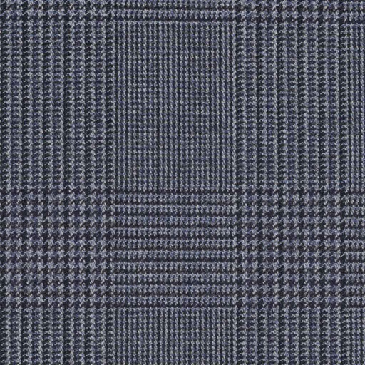 [317101] BLUE, CHECKS (DR# 65101)