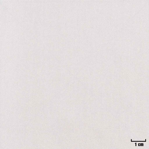 [405001] OFF WHITE, PLAIN