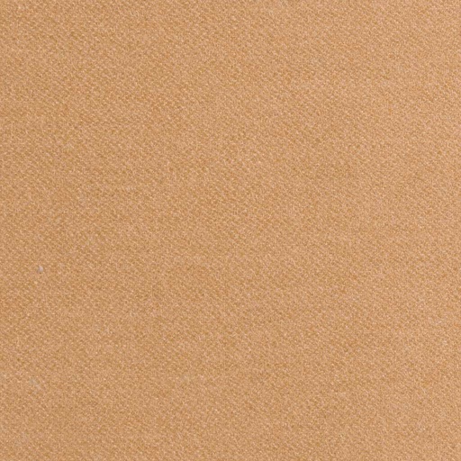 [405118] TAN, PLAIN