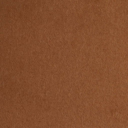 [405126] CAMEL, PLAIN