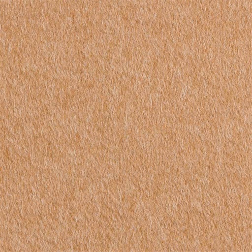 [405135] TAN, PLAIN