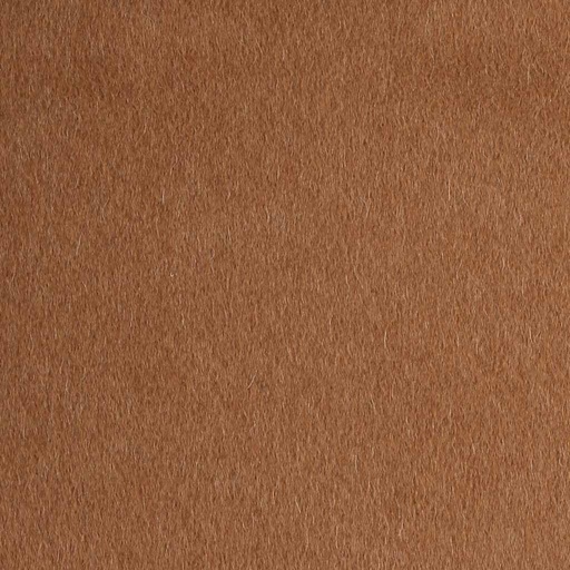 [405136] CAMEL, PLAIN