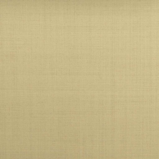 [501775] BROWN, PLAIN