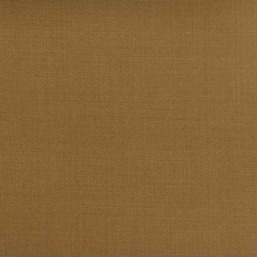 [501776] BEIGE, PLAIN