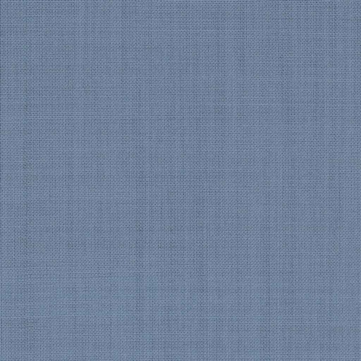 [317735] BLUE, PLAIN (DR# 19036)