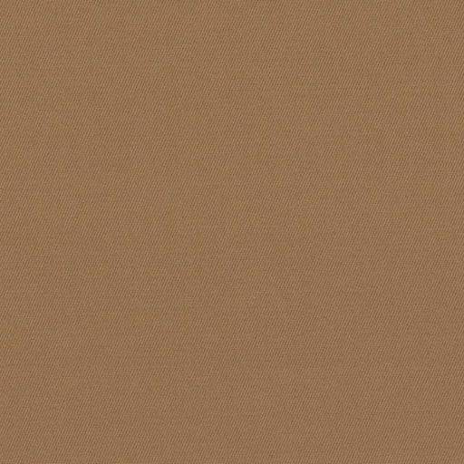 [317828] BROWN, PLAIN (DR# 25428)