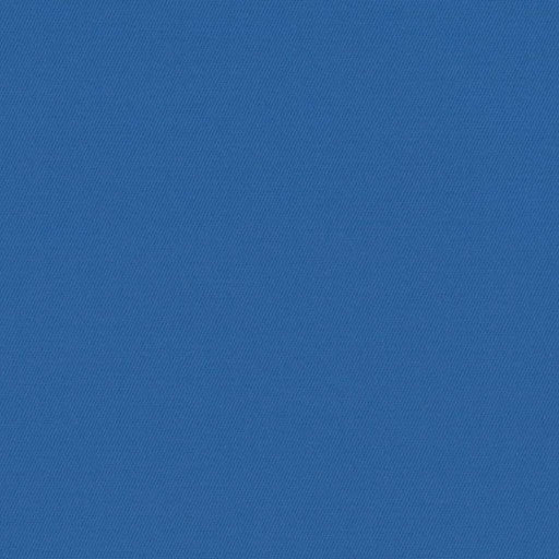 [317848] BLUE, PLAIN (DR# 25448)
