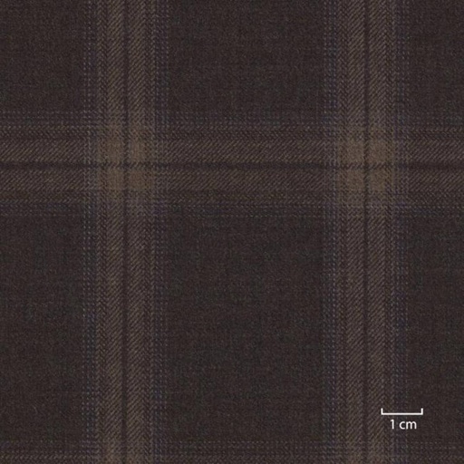 [317946] BROWN, CHECKS