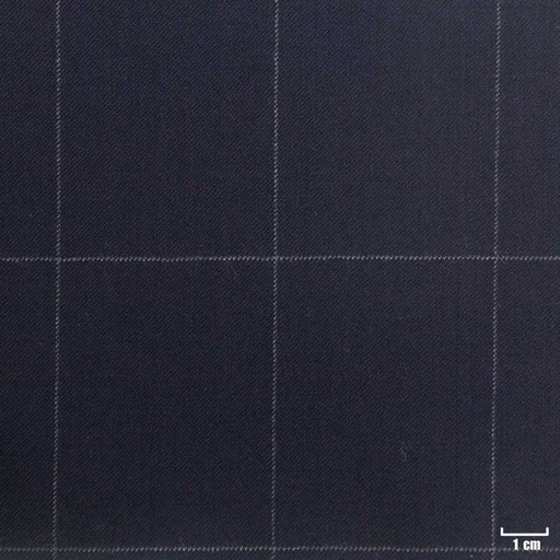 [228228] DARK BLUE, WHITE CHECKS