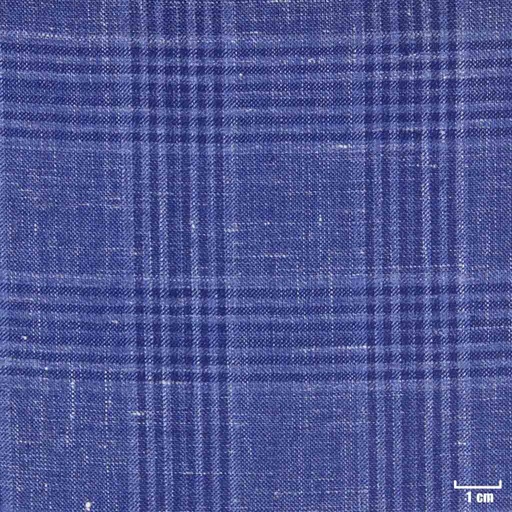 [405227] BLUE, CHECKS