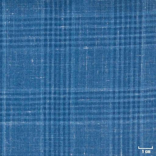 [405229] BLUE, CHECKS