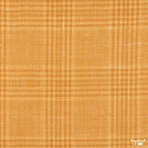 [405230] CAMEL, CHECKS