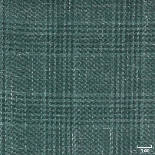 [405232] GREEN, CHECKS