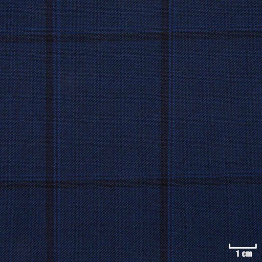 [823113] BLUE, BLACK CHECKS