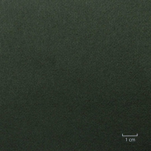 [824813] DARK GREEN, PLAIN