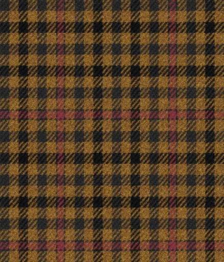 [451117] BROWN, CHECKS