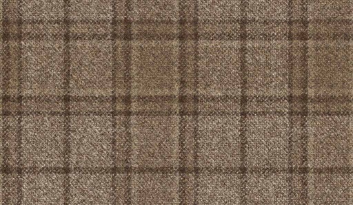 [451129] BROWN, CHECKS