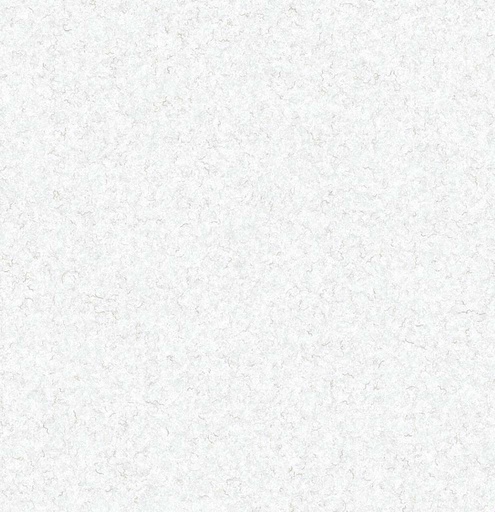 [451205] WHITE, PLAIN