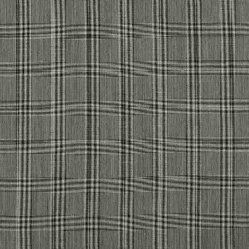 [353040] BLACK & WHITE, CHECKS (ST# 5074)