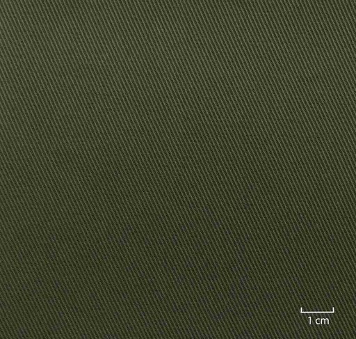 [823746] DARK GREEN, PLAIN