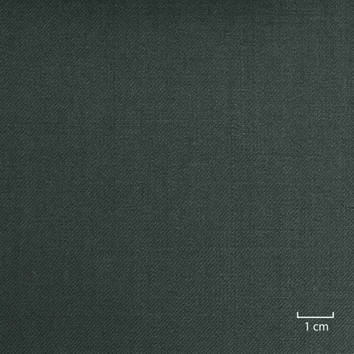 [502164] DARK GREEN, PLAIN