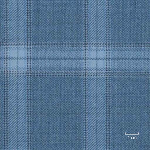 [318932] BLUE, CHECKS