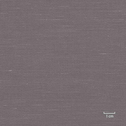 [318952] DARK KHAKI, PLAIN