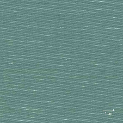 [318957] GREEN, PLAIN