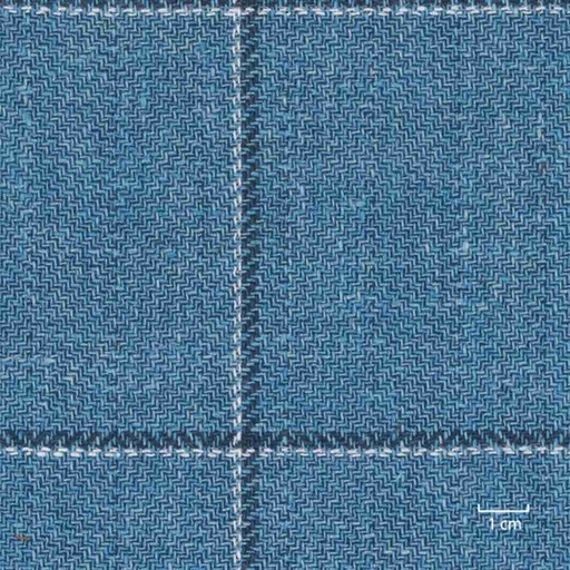 [318965] BLUE, CHECKS