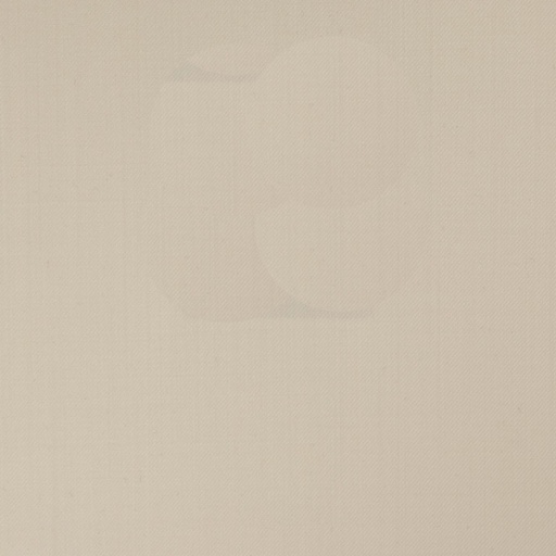 [318580] WHITE, PLAIN (DR# 10174)