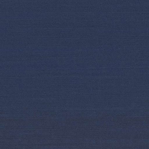 [318726] BLUE, PLAIN (DR# 20126)