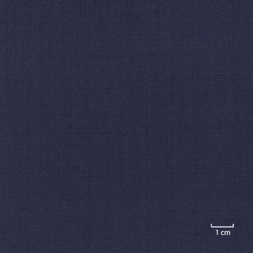 [318754] BLUE, PLAIN (DR# 20154)