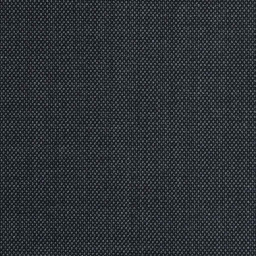 [227340] GREY, BIRDEYE